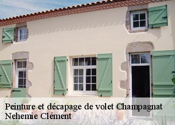 Peinture et décapage de volet  champagnat-23190 Nehemie Clément 