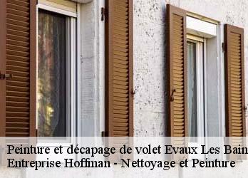 Peinture et décapage de volet 23110