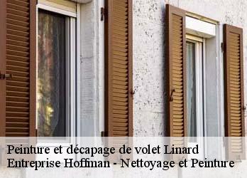 Peinture et décapage de volet  23220