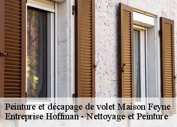 Peinture et décapage de volet  23800
