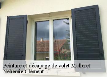 Peinture et décapage de volet  malleret-23260 Nehemie Clément 