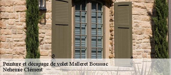 Peinture et décapage de volet  malleret-boussac-23600 Nehemie Clément 