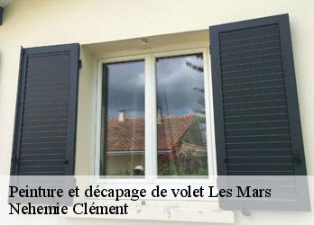 Peinture et décapage de volet  les-mars-23700 Nehemie Clément 