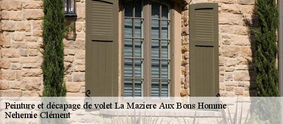 Peinture et décapage de volet  la-maziere-aux-bons-homme-23260 Nehemie Clément 