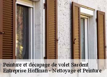 Peinture et décapage de volet  23250