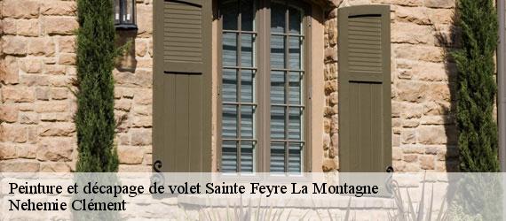 Peinture et décapage de volet  sainte-feyre-la-montagne-23500 Nehemie Clément 