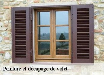 Peinture et décapage de volet  saint-hilaire-le-chateau-23250 Nehemie Clément 