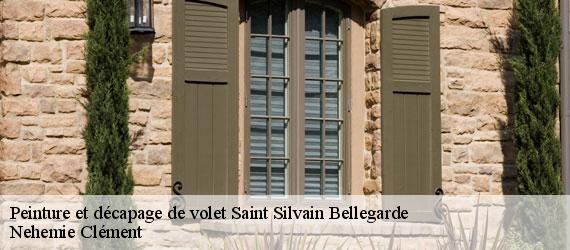 Peinture et décapage de volet saint-silvain-bellegarde-23190 Nehemie Clément