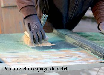 Peinture et décapage de volet  le-dognon-23300 Nehemie Clément 
