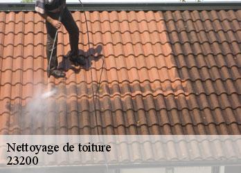 Nettoyage de toiture  alleyrat-23200 Nehemie Clément 