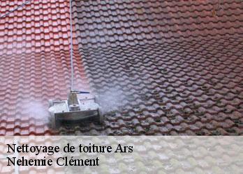 Nettoyage de toiture  ars-23480 Nehemie Clément 