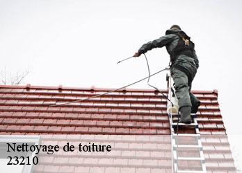 Nettoyage de toiture  augeres-23210 Nehemie Clément 