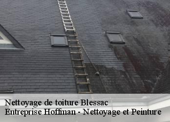 Nettoyage de toiture  23200