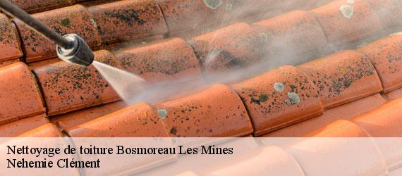 Nettoyage de toiture  bosmoreau-les-mines-23400 Nehemie Clément 