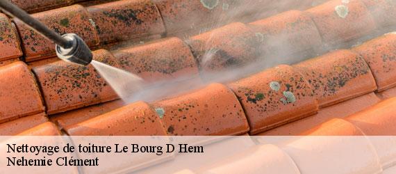 Nettoyage de toiture  le-bourg-d-hem-23220 Nehemie Clément 