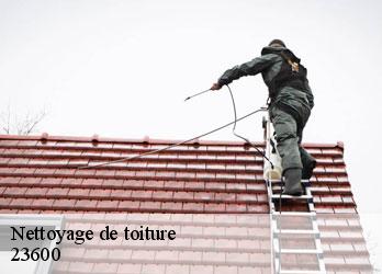 Nettoyage de toiture  boussac-23600 Nehemie Clément 