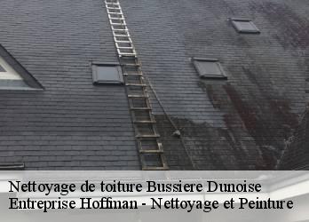 Nettoyage de toiture  23320