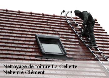 Nettoyage de toiture  la-cellette-23350 Nehemie Clément 