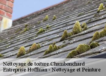 Nettoyage de toiture  23110