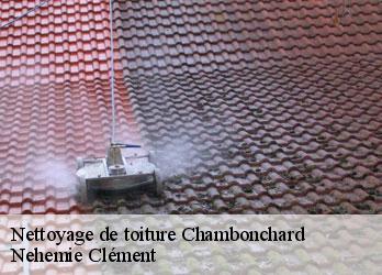 Nettoyage de toiture chambonchard-23110 Nehemie Clément