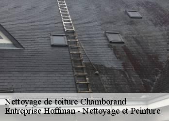 Nettoyage de toiture  23240