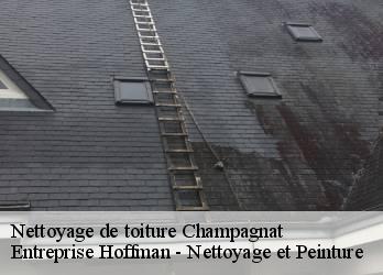 Nettoyage de toiture  23190