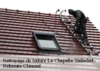 Nettoyage de toiture la-chapelle-taillefert-23000 Nehemie Clément