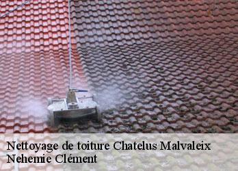 Nettoyage de toiture  chatelus-malvaleix-23270 Nehemie Clément 