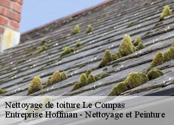 Nettoyage de toiture  23700