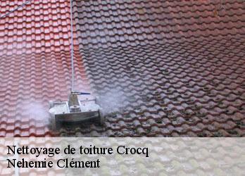 Nettoyage de toiture  crocq-23260 Nehemie Clément 