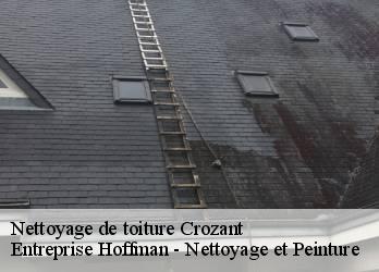 Nettoyage de toiture  23160