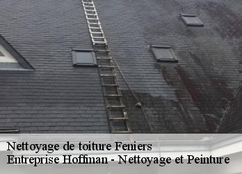 Nettoyage de toiture  23100