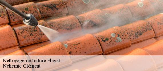 Nettoyage de toiture flayat-23260 Nehemie Clément