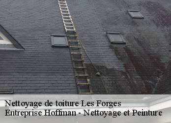 Nettoyage de toiture  23230