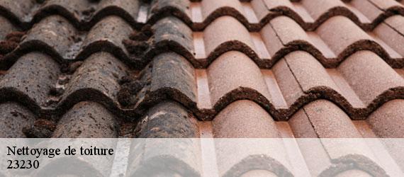Nettoyage de toiture les-forges-23230 Nehemie Clément