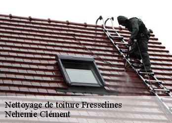 Nettoyage de toiture fresselines-23450 Nehemie Clément