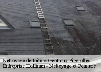 Nettoyage de toiture  23340