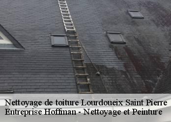 Nettoyage de toiture  23360