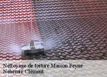 Nettoyage de toiture maison-feyne-23800 Nehemie Clément