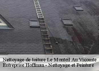 Nettoyage de toiture  23460