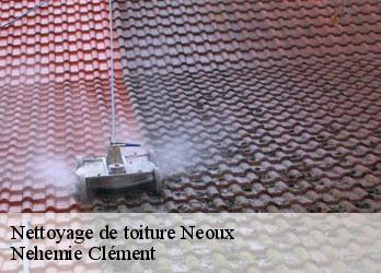 Nettoyage de toiture  neoux-23200 Nehemie Clément 