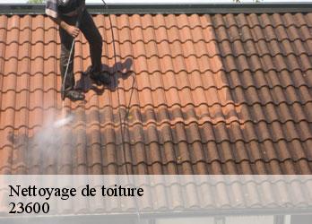 Nettoyage de toiture  nouzerines-23600 Nehemie Clément 