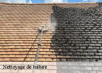Nettoyage de toiture  nouzerines-23600 Nehemie Clément 