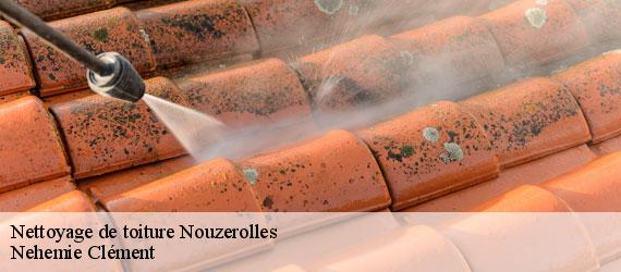 Nettoyage de toiture  nouzerolles-23360 Nehemie Clément 