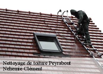 Nettoyage de toiture  peyrabout-23000 Nehemie Clément 