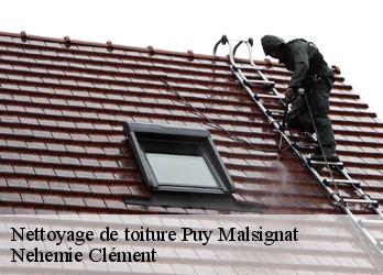 Nettoyage de toiture puy-malsignat-23130 Nehemie Clément