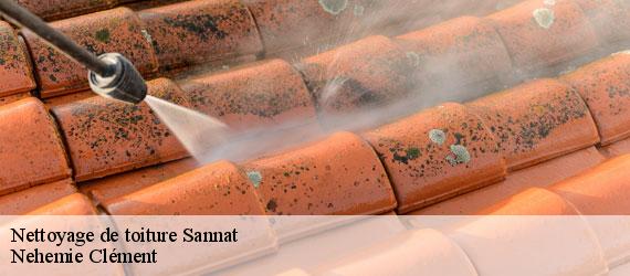 Nettoyage de toiture  sannat-23110 Nehemie Clément 