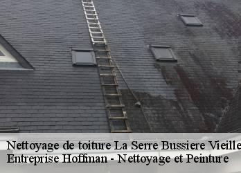 Nettoyage de toiture  23190