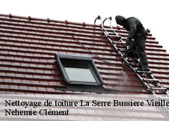Nettoyage de toiture  la-serre-bussiere-vieille-23190 Nehemie Clément 
