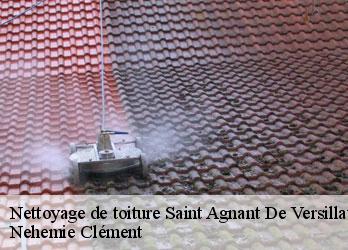 Nettoyage de toiture  saint-agnant-de-versillat-23300 Nehemie Clément 